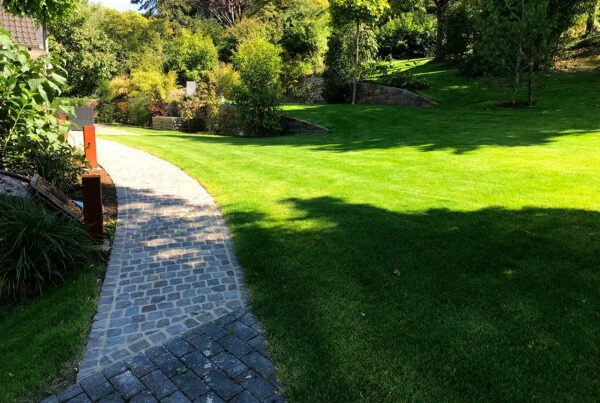Garten mit gepflasterten Weg und Anlagen